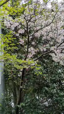 大念寺(京都府)