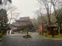 今熊野観音寺(京都府)
