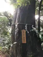 須天熊野神社(石川県)