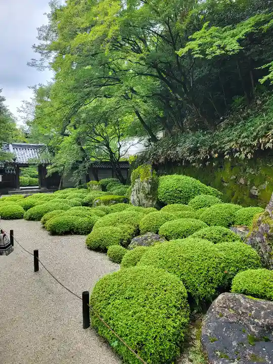 知恩院(京都府)