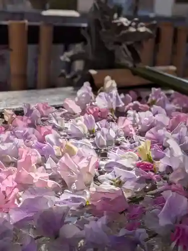 高円寺氷川神社(東京都)