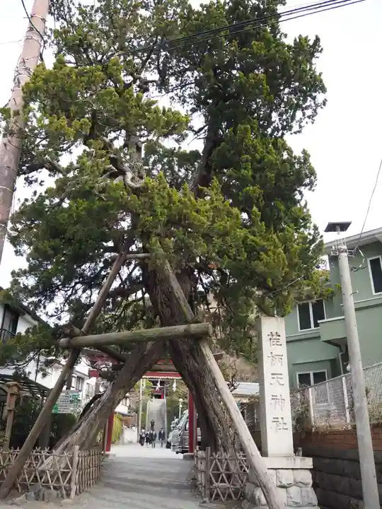 荏柄天神社(神奈川県)