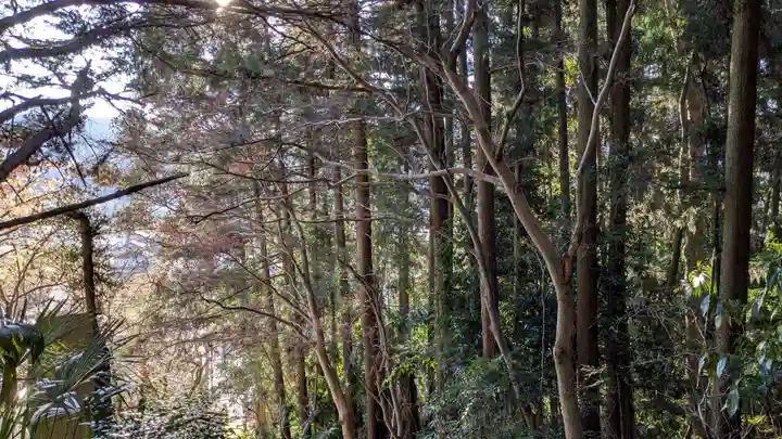 摩利支天堂の自然