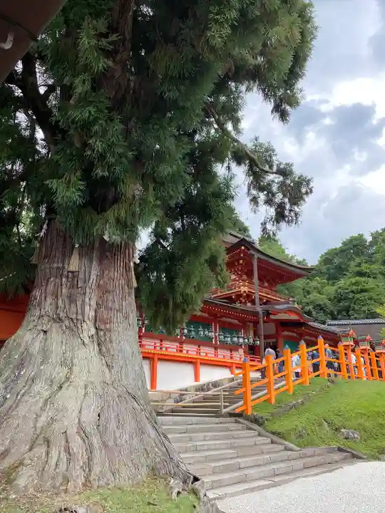 春日大社(奈良県)