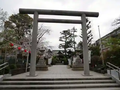 桜神宮の鳥居
