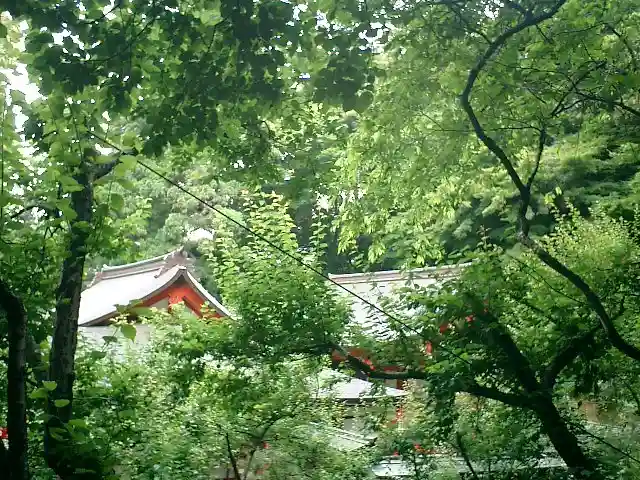 荏柄天神社の自然