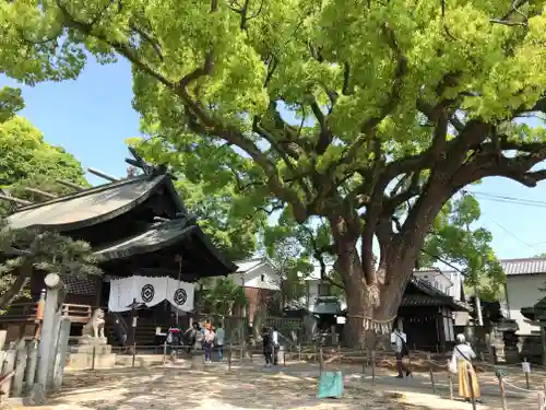 艮神社の自然