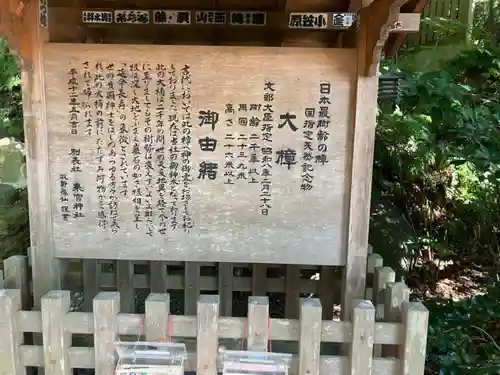 來宮神社(静岡県)