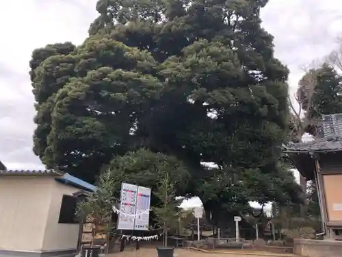 九重神社の自然