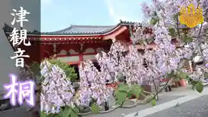 津観音の自然(2021年09月29日(水) 09時58分44秒投稿)