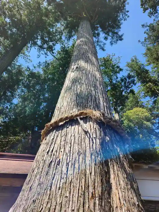 伊和神社(兵庫県)