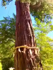 香取神宮(千葉県)