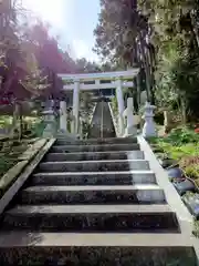 白山神社の鳥居