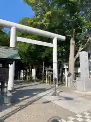 新琴似神社の鳥居