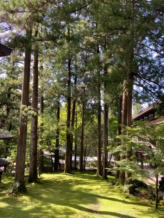 永平寺(福井県)