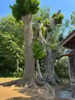 熊野神社(千葉県)