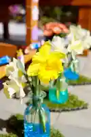 伊達神社の庭園