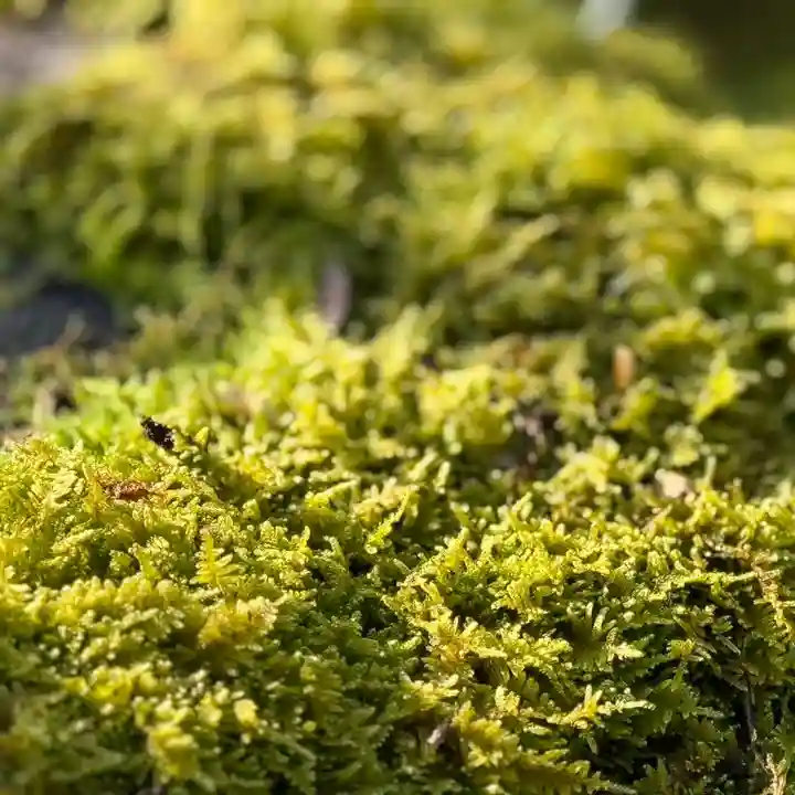 伊勢の国 四天王寺(三重県)