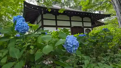 真正極楽寺(真如堂)(京都府)