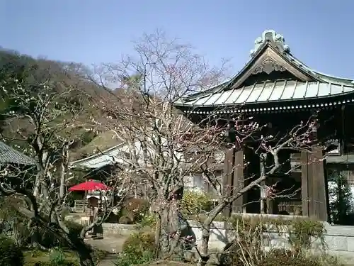 海蔵寺の末社・摂社