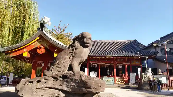 浅草神社の狛犬