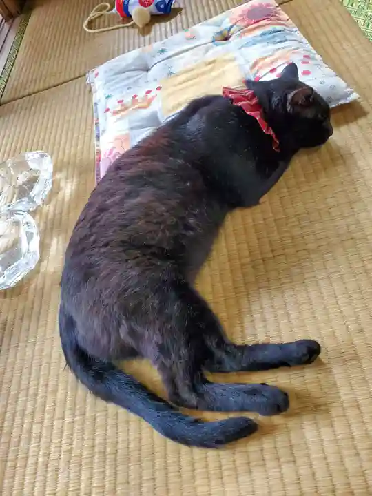 高司神社〜むすびの神の鎮まる社〜(福島県)