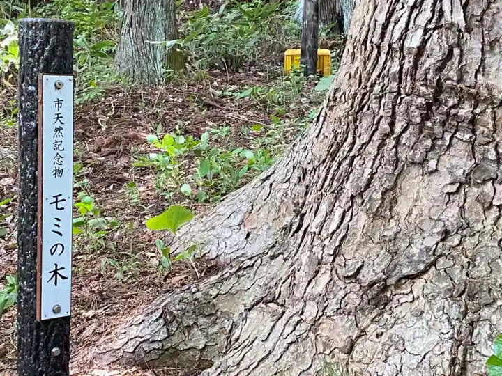 龍興山神社(青森県)