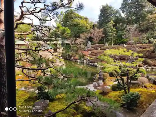 両足院の庭園