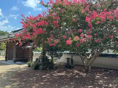 青龍寺(兵庫県)