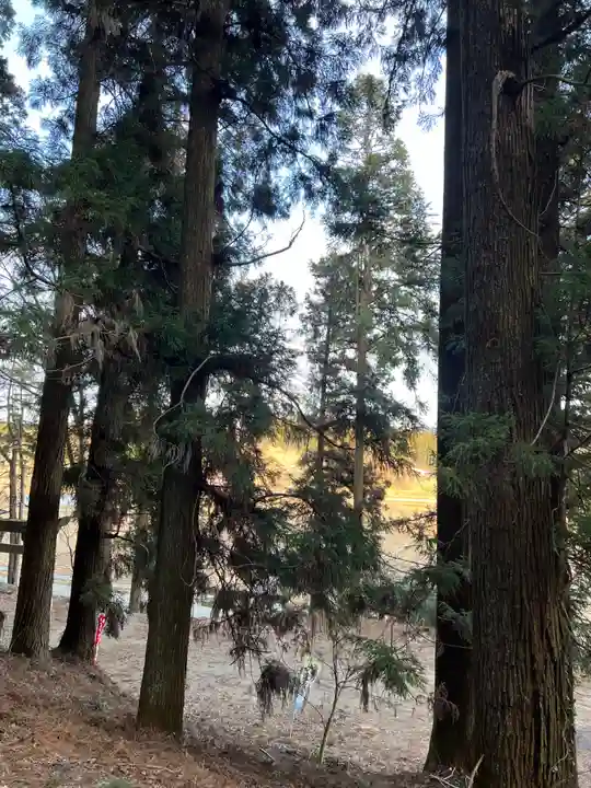 大宮温泉神社(栃木県)