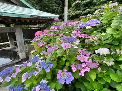 和布刈神社(福岡県)