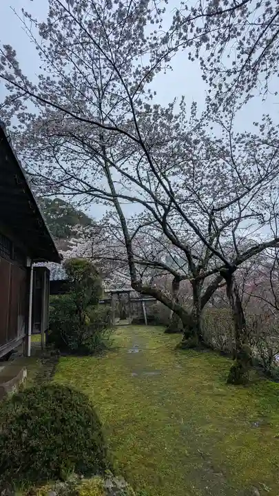 勝持寺(花の寺)(京都府)