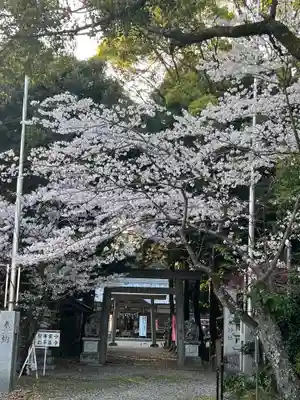 大木神社(三重県)