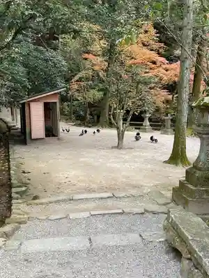 石上神宮(奈良県)