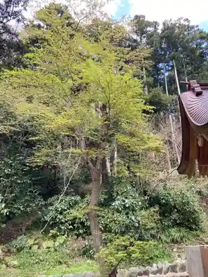 新宮神社(今宮)(神奈川県)