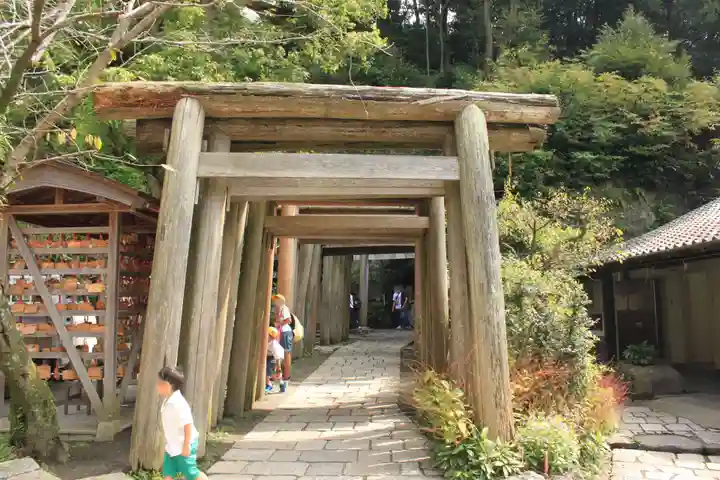 銭洗弁財天宇賀福神社(神奈川県)