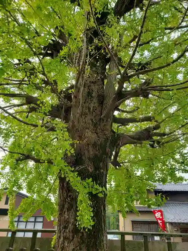 総願寺のその他建物