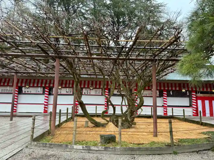 笠間稲荷神社の{uncategorized: "未分類", other: "その他", undefined: "問題あり", building: "その他建物", grave: "お墓", sacred_gate: "鳥居", guardian: "狛犬", statue: "像", buddha: "仏像", history: "歴史", nature: "自然", garden: "庭園", animal: "動物", pagoda: "塔", temizu: "手水舎", mountain_gate: "山門・神門", sanctuary: "本殿・本堂", subordinate: "末社・摂社", art: "芸術", scenery: "景色", jizo: "地蔵", ema: "絵馬", goshuin: "御朱印", omikuji: "おみくじ", items: "授与品その他", amulet: "お守り", goshuincho: "御朱印帳", eats: "食事", festival: "お祭り", votive_dance: "神楽", shichigosan: "七五三参", wedding: "結婚式", experience: "体験その他", initially: "初詣", around: "周辺", anti_infection: "感染症対策"}