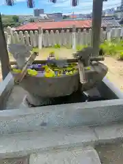 春日神社の手水