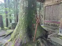 阿弥陀寺 奥之院浄土堂(和歌山県)