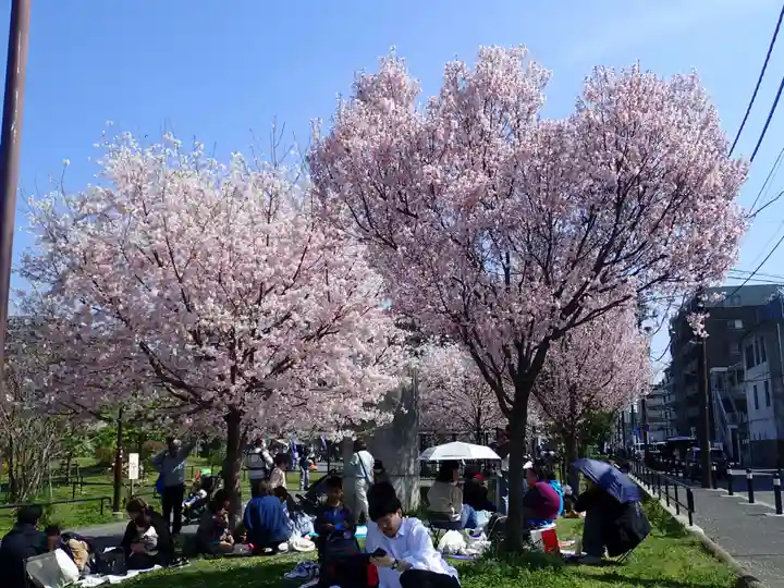 瑞延寺の御朱印