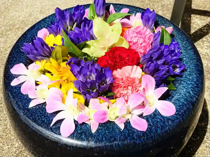 真言宗 善通寺派 薬王寺の手水舎