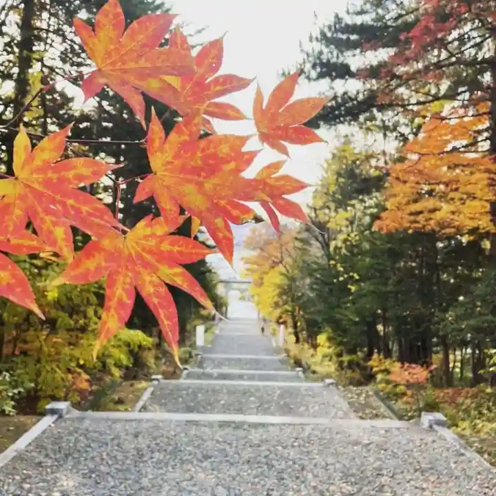 上川神社の自然