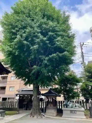 北野神社(東京都)
