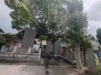 奥戸天祖神社(東京都)