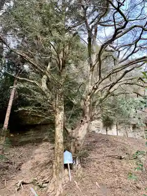 青麻神社(宮城県)