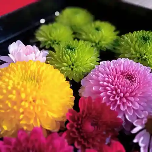 阿邪訶根神社の手水舎