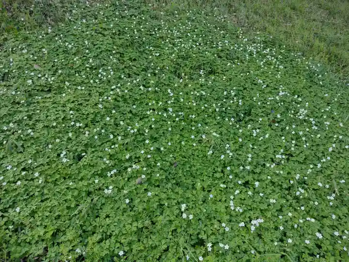 松井孫右衛門社(三重県)