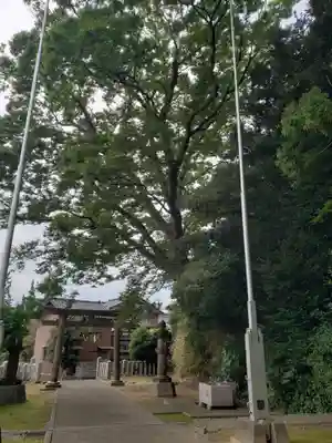 清水八幡神社のその他建物