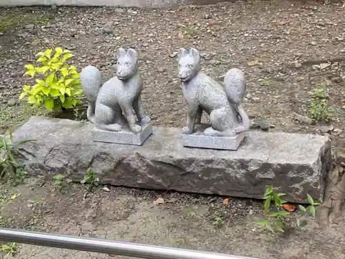 羽衣町厳島神社（関内厳島神社・横浜弁天）の狛犬